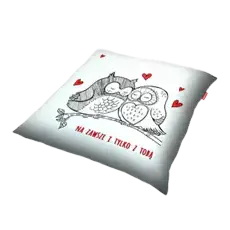 Wepol Poduszka Jaś 40 x 40 cm